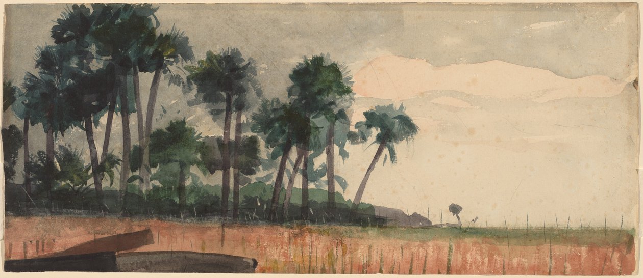 Palmy, czerwone, 1890. autorstwa Winslow Homer