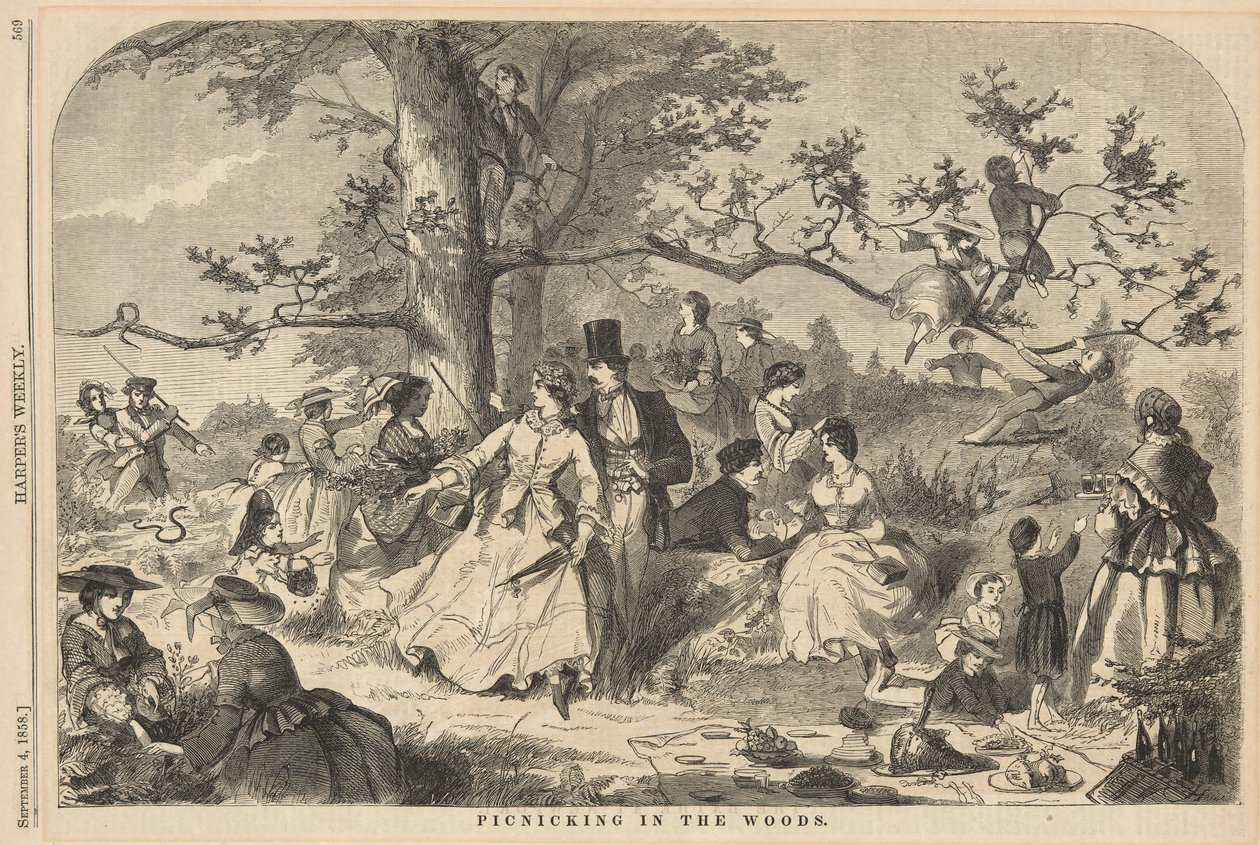Piknik w lesie, od Harper autorstwa Winslow Homer
