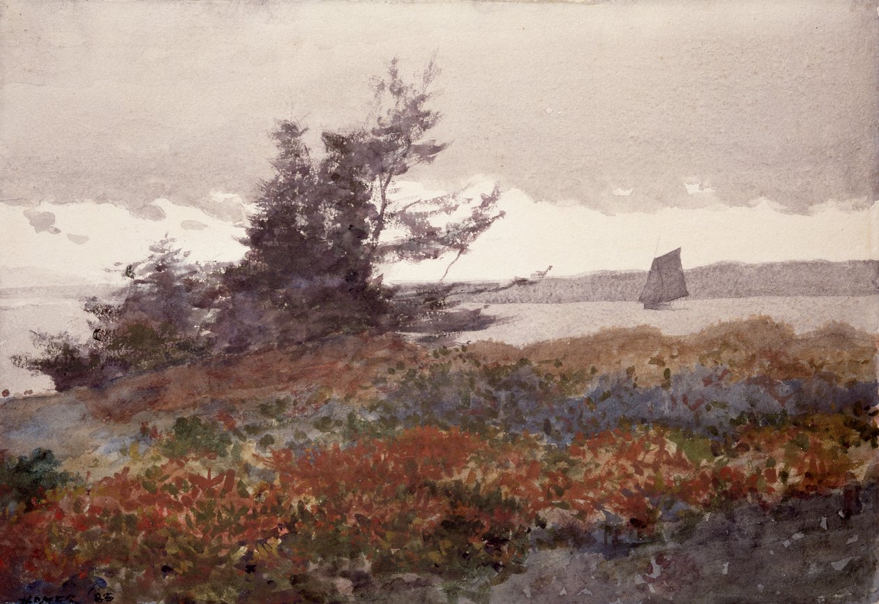 Szyja Prouta: patrzenie w stronę starego sadu autorstwa Winslow Homer