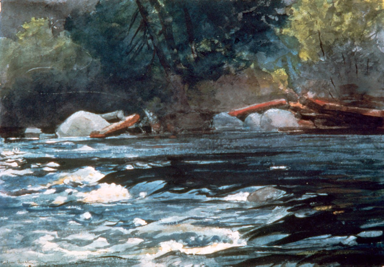 Rapids, rzeka Hudson, 1894 autorstwa Winslow Homer