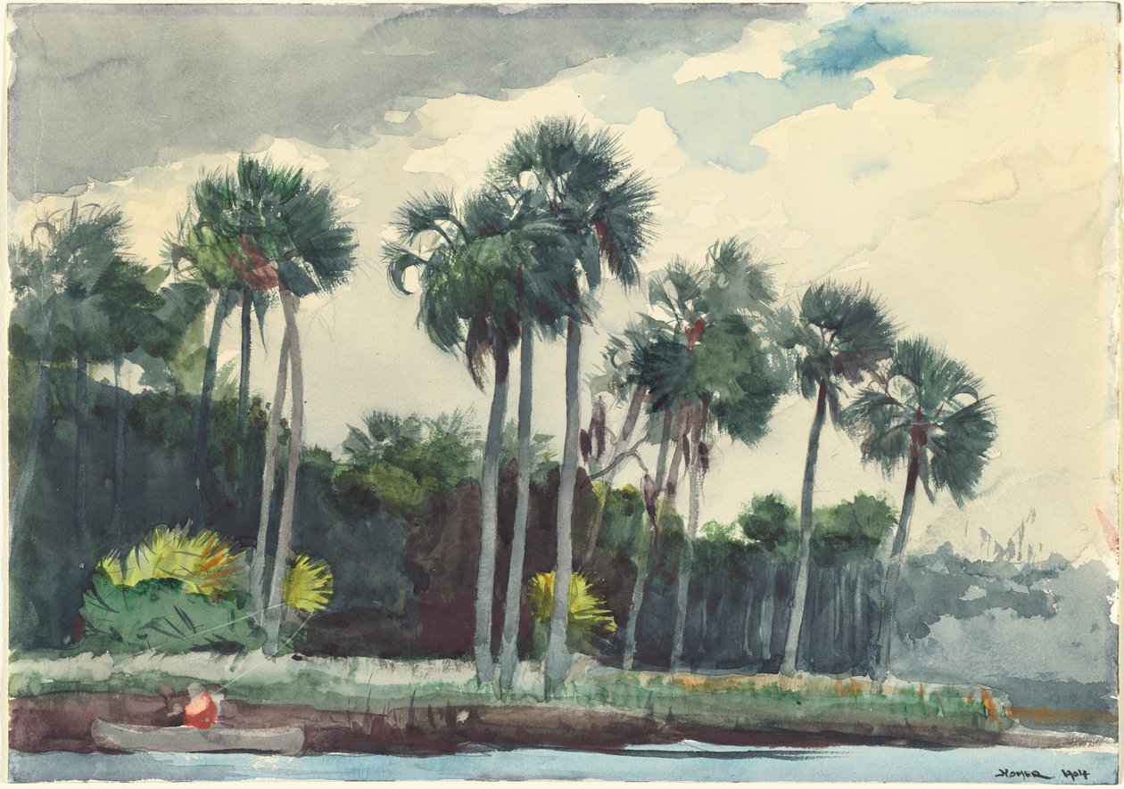 Czerwona koszula, Homosassa, Floryda autorstwa Winslow Homer