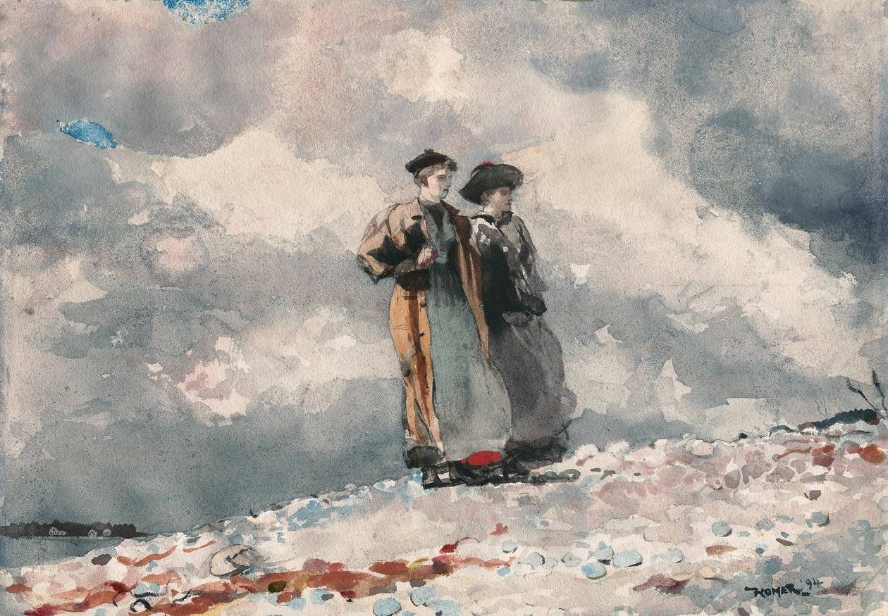 Perspektywy, wybrzeże Maine autorstwa Winslow Homer