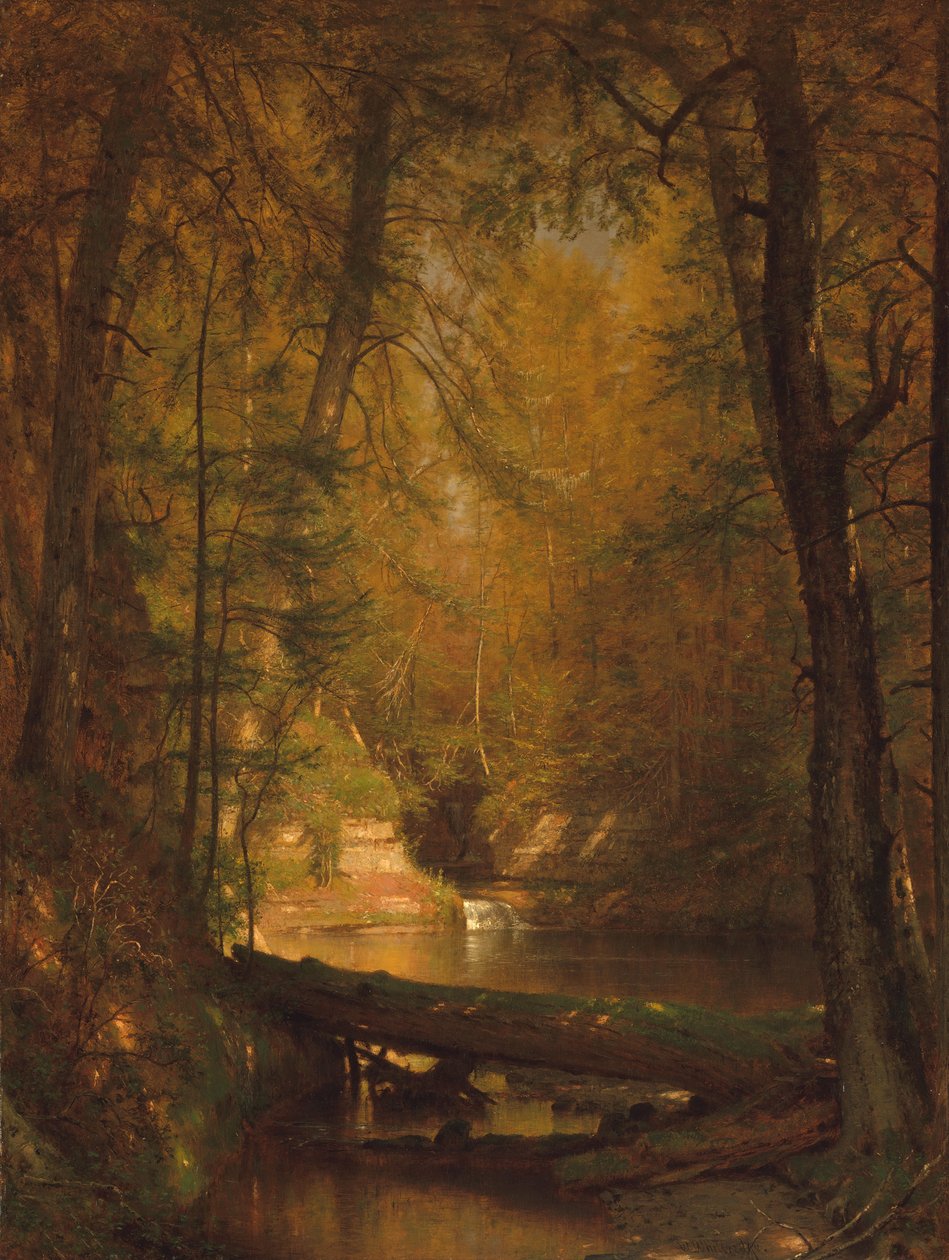 Basen pstrągowy, 1870. autorstwa Worthington Whittredge