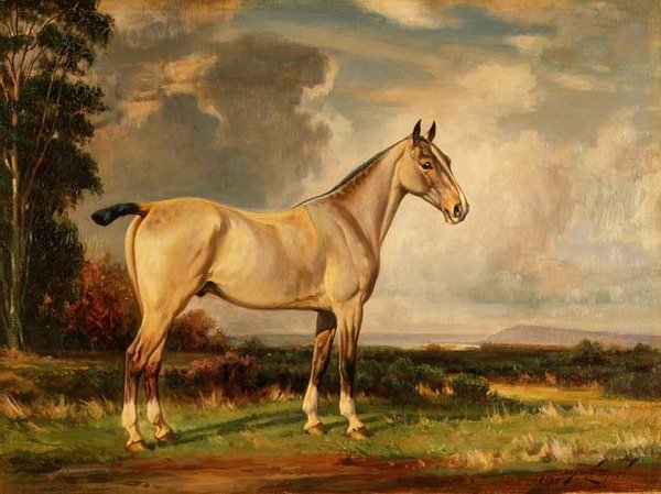 Portret pawia autorstwa Wright Barker