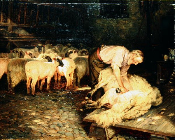 Shearer (olej na płótnie) autorstwa Wright Barker