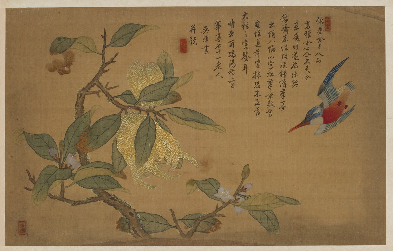 Ptak, owoce i kwiaty, dynastia Qing, 1741. autorstwa Wu Zhang