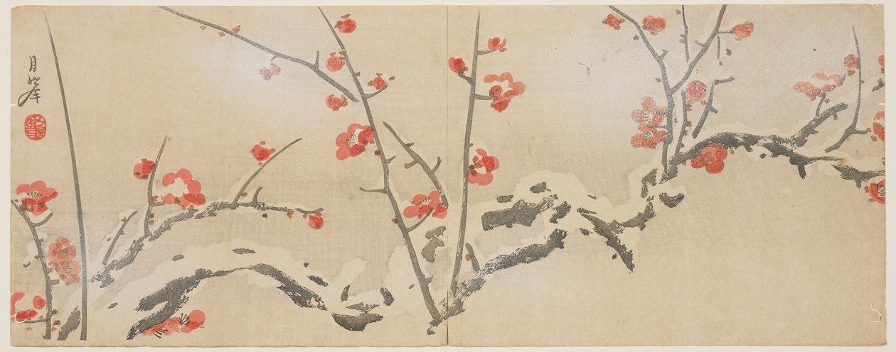 Kwitnące śliwy na śniegu, ok. 1818-29 (drzeworyt kolorowy) autorstwa Yamaoka Gepp
