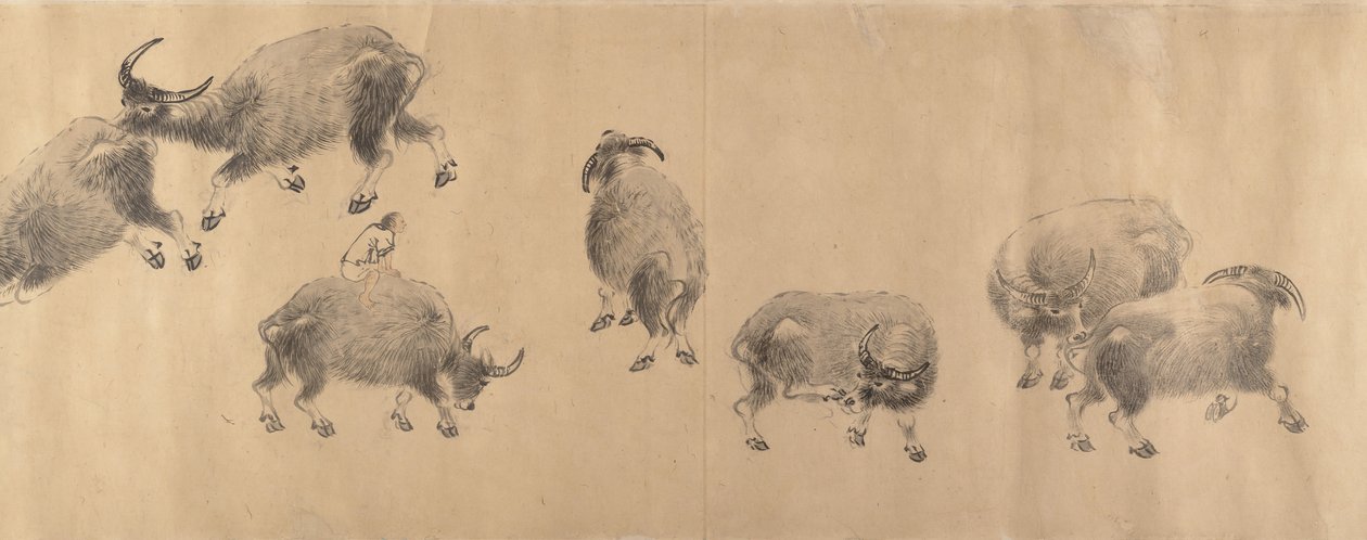 Bawoły wodne, dat. 1639. autorstwa Zhang Hong