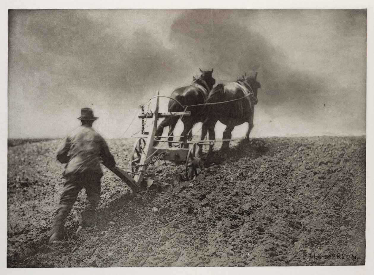 „Sztywny ciąg” autorstwa Frederick (attr. to) Barnard