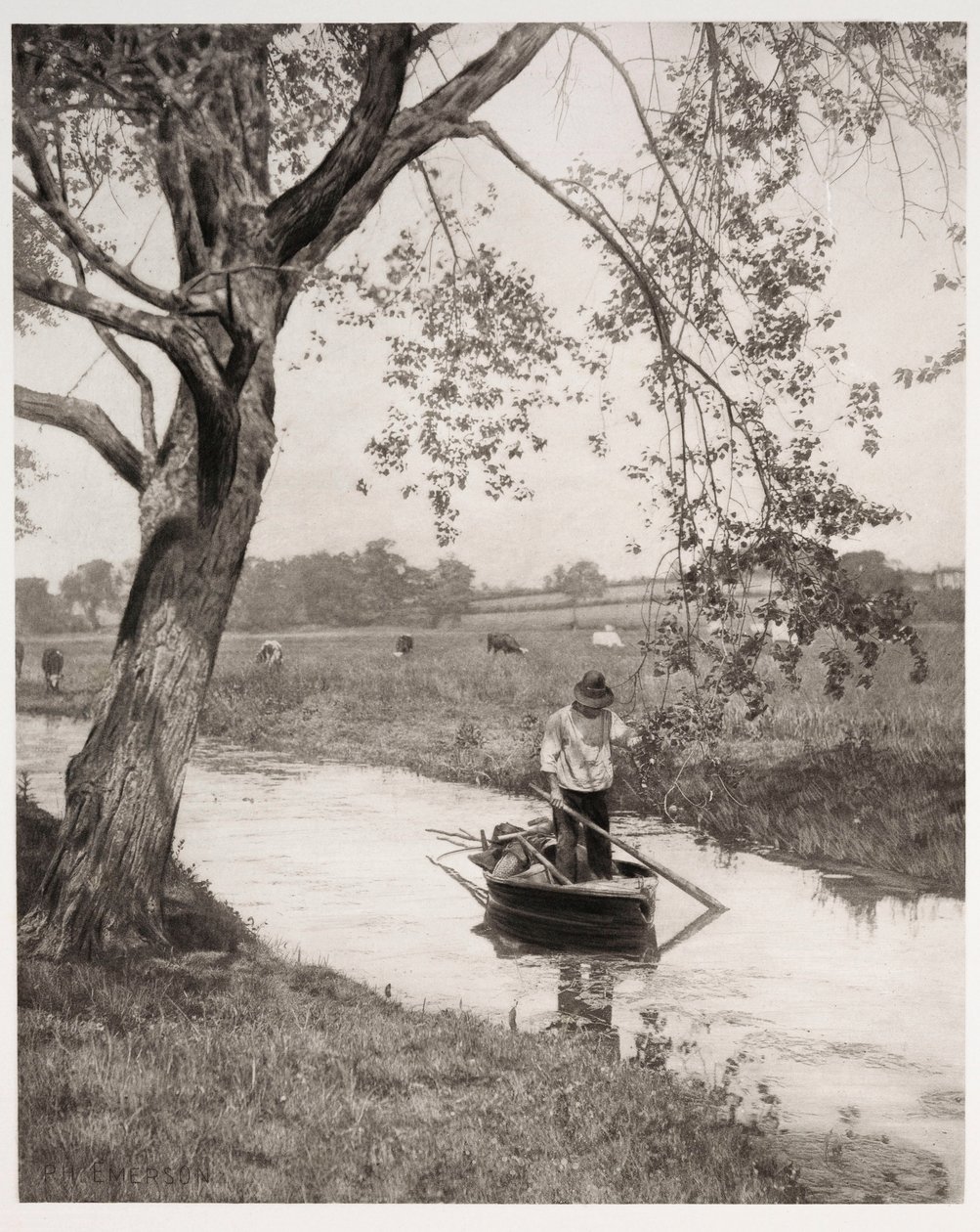 „Wał Suffolk” (grofa w Suffolk) autorstwa Frederick (attr. to) Barnard