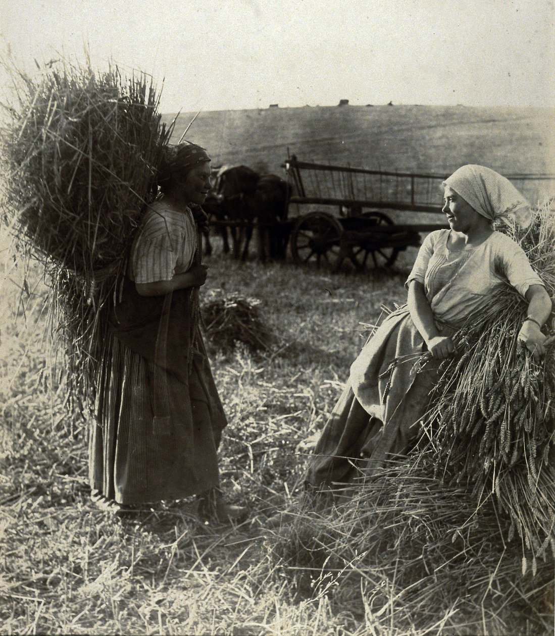 Żniwiarze, ok. 1900 autorstwa Frederick (attr. to) Barnard