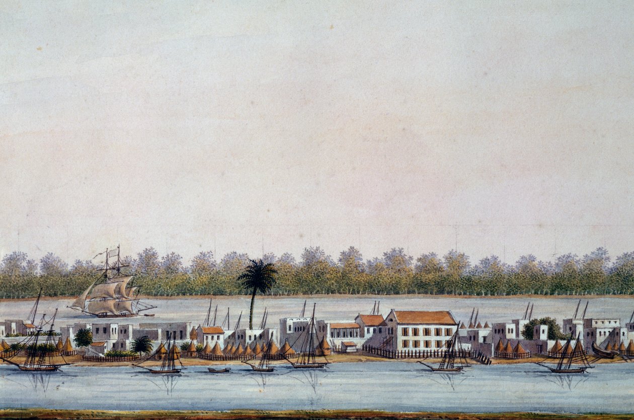 Widok St Louis, Senegal autorstwa William Walcutt