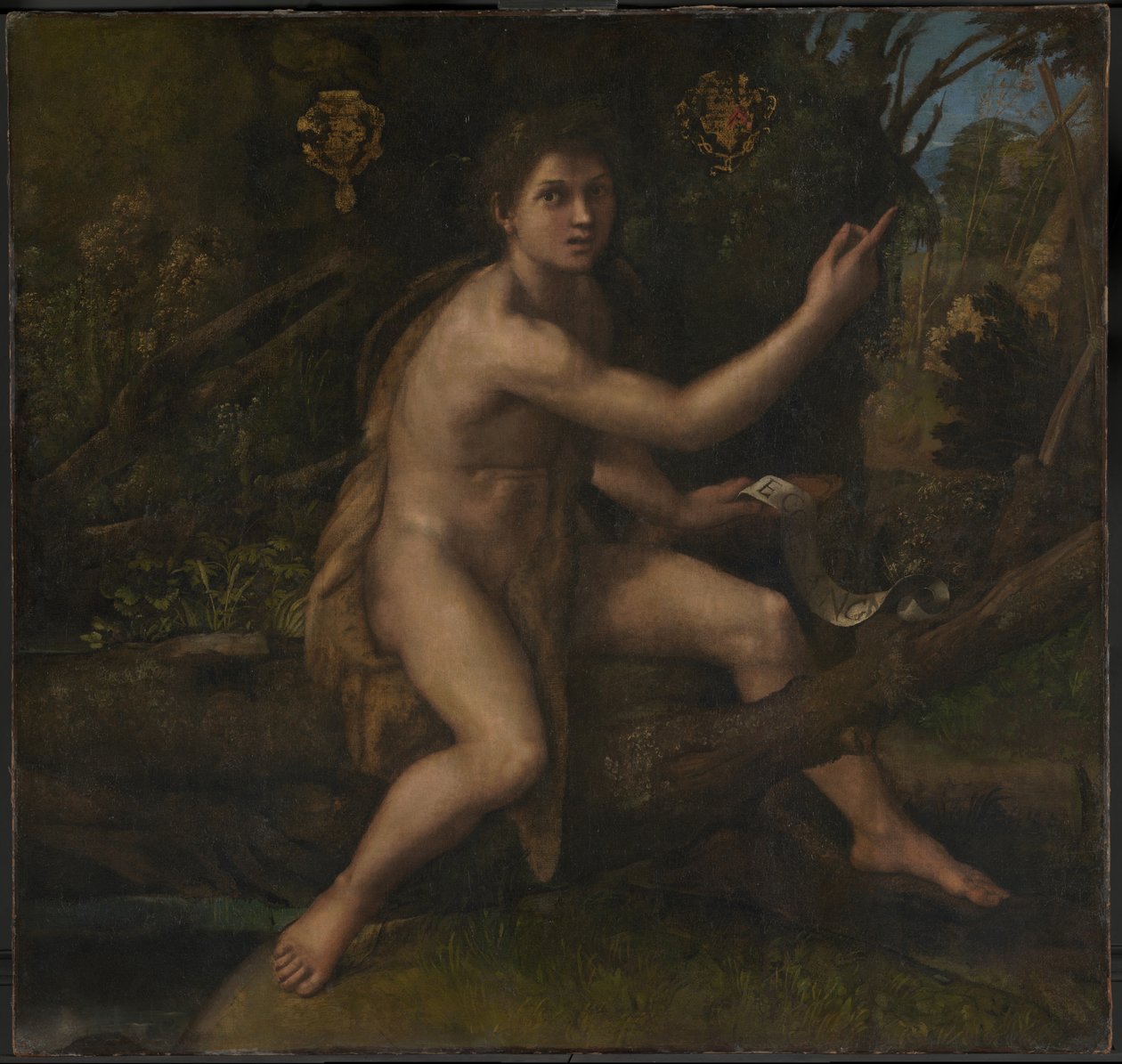 Św. Jan Chrzciciel autorstwa Raphael
