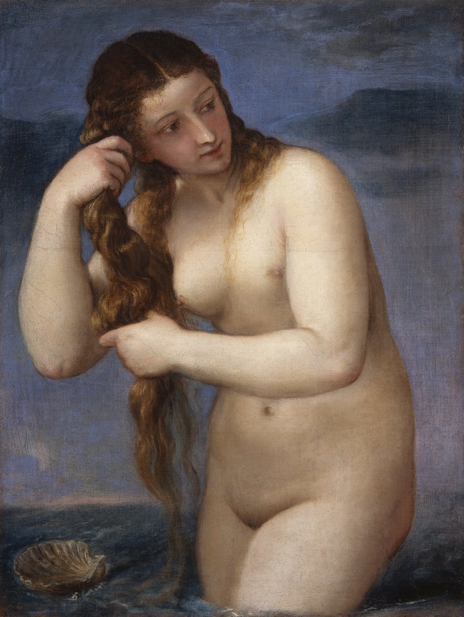 Wenus Anadyomene autorstwa Tiziano Vecelli