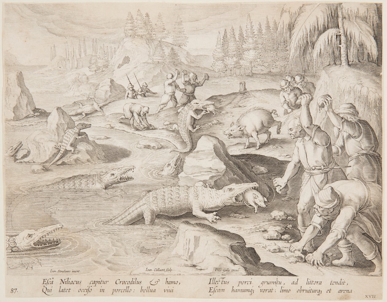 Polowanie na krokodyle autorstwa after Jan van der Straet, called Stradanus