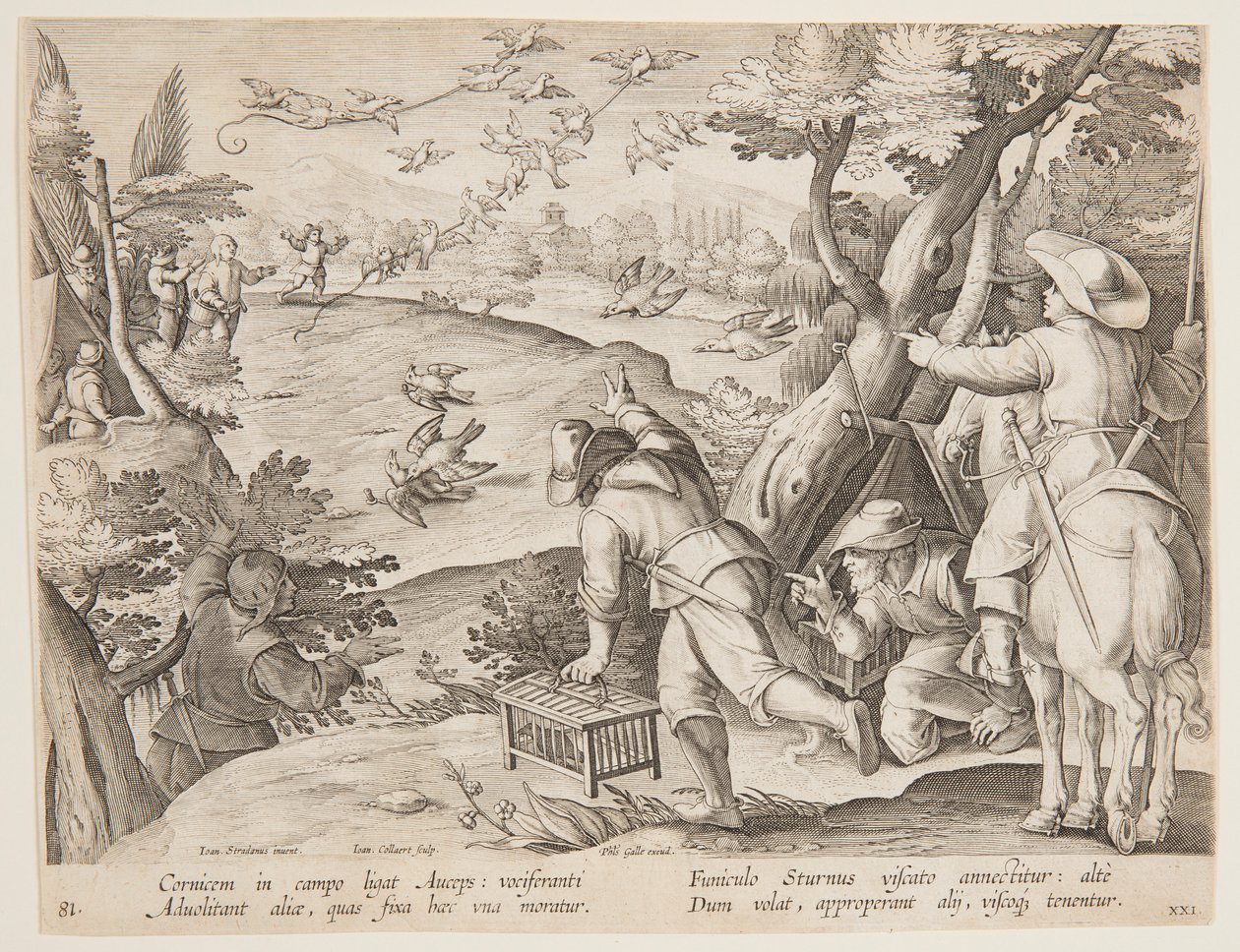 Ptactwo autorstwa after Jan van der Straet, called Stradanus