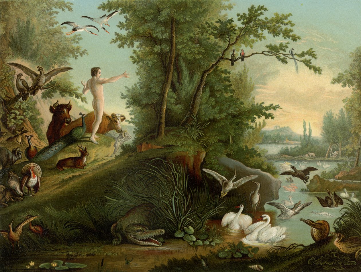 Adam w raju autorstwa Johann Elias Ridinger or Riedinger