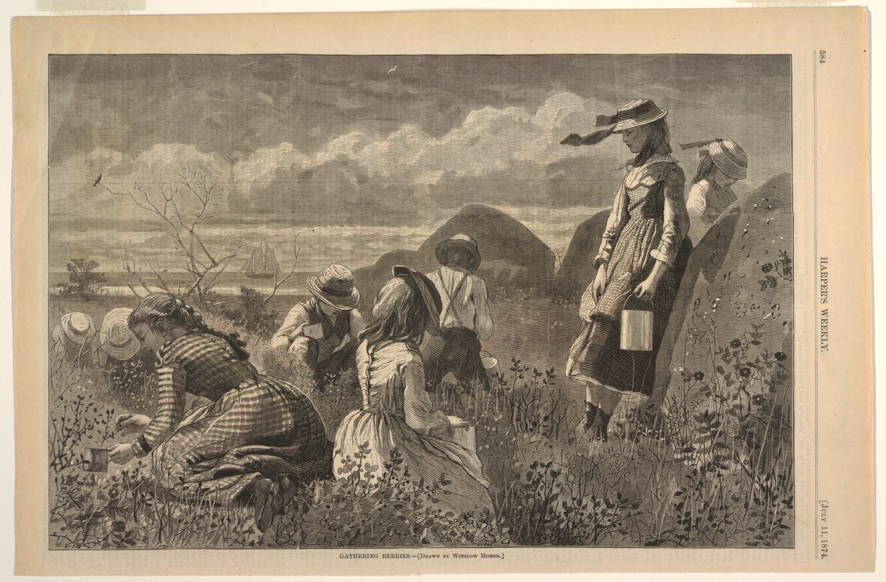 Zbieranie jagód autorstwa after Winslow Homer