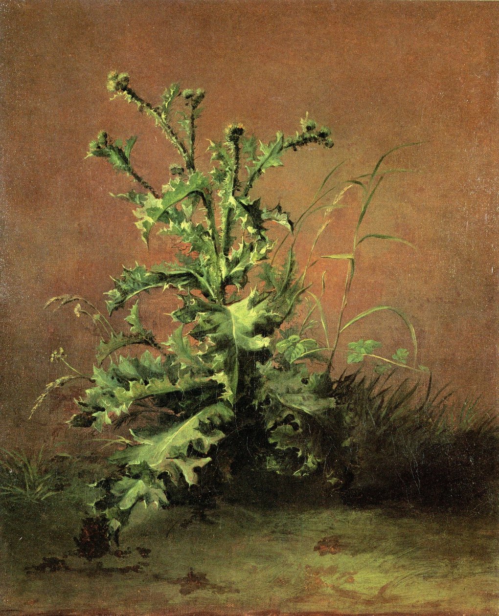 Chardony autorstwa Édouard Manet