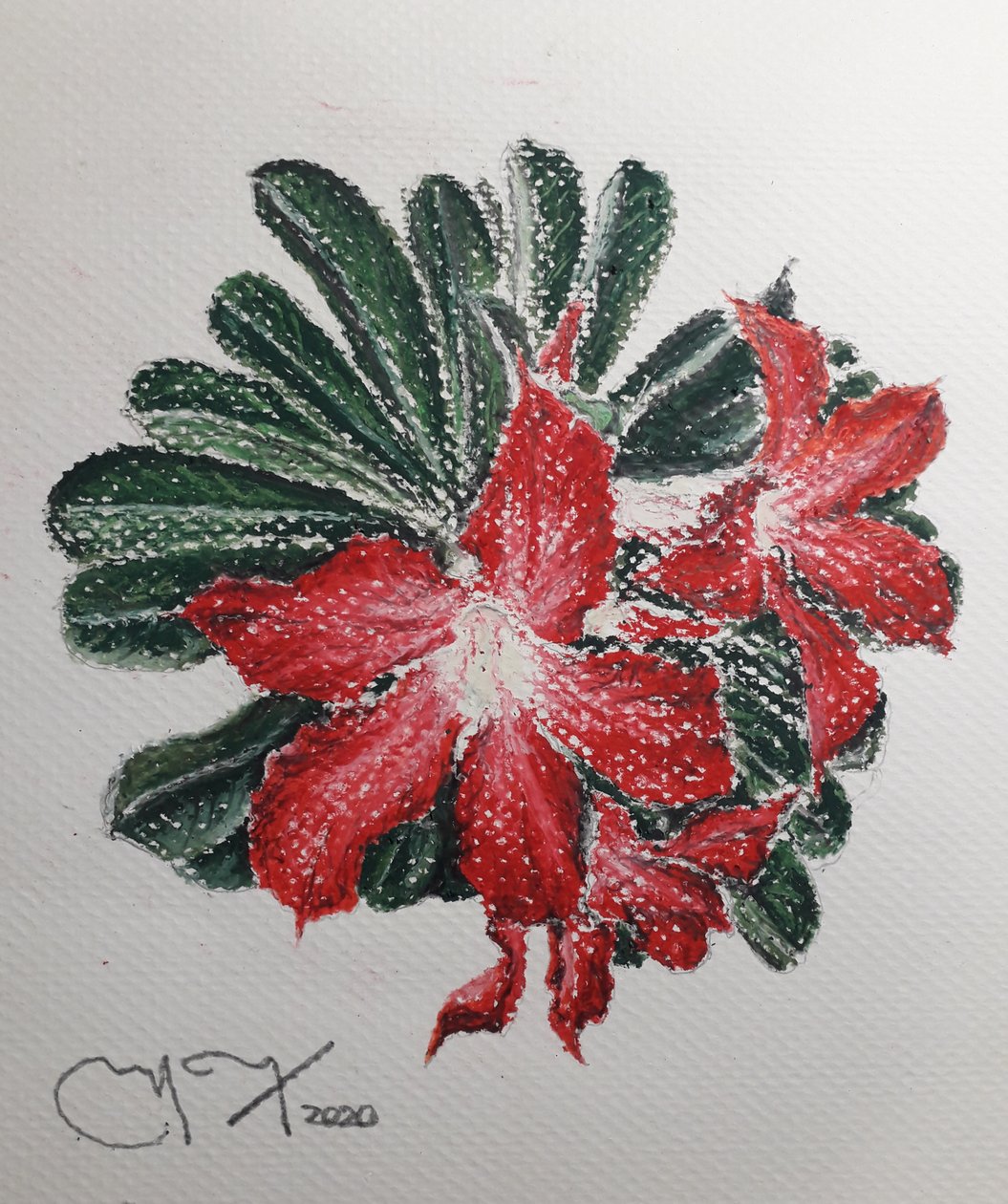 KWIAT PUSTYNI autorstwa miguelmendez_art.ve