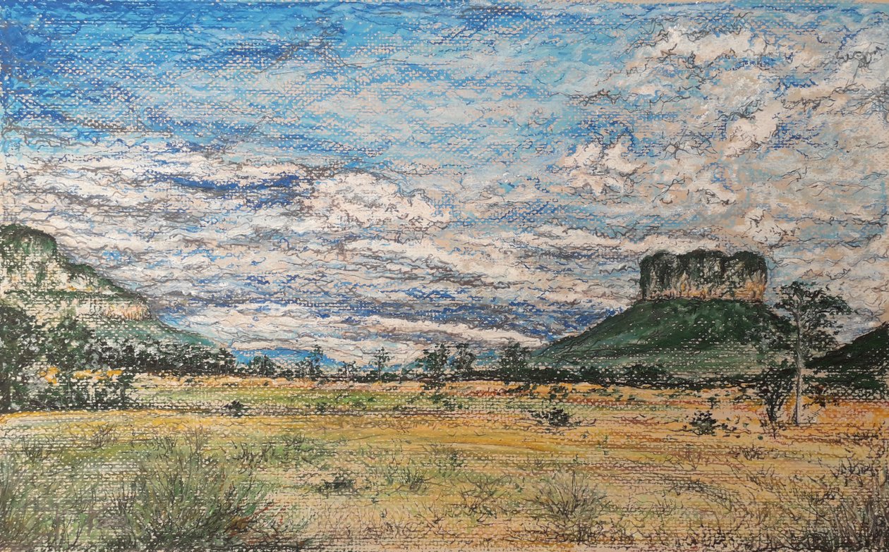 GRAN SABANA WENEZUELA autorstwa miguelmendez_art.ve