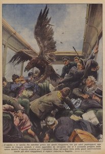 Laquila i panna młoda