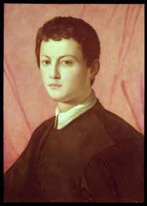 Portret młodego mężczyzny (panel)