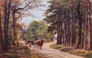Las Broadwater, Studnie Tunbridge