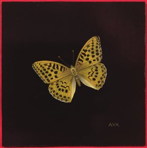 Motyl fritillary myty srebrem, 2000
