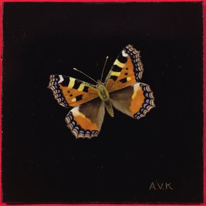 Mały szylkretowy motyl, 1998