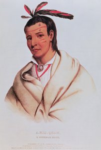 Portret A-Mis-How, dzielnego winnebago