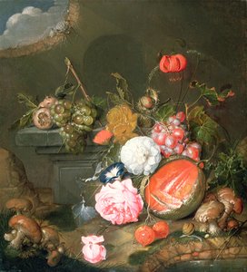Martwa natura