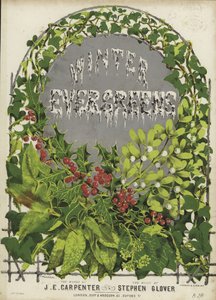 Okładka Zimowych Evergreenów