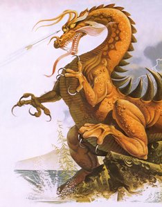 Dragonpoli