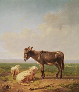 Osioł i Owca, 1849 (olej)