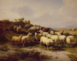 Owce na wybrzeżu, 1878