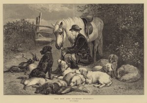 Dog Boy i Clumber Spaniele