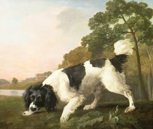 Spaniel w pejzażu, 1771