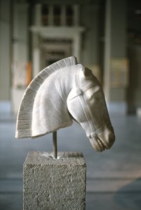 Głowa konia (marmur)