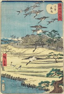 Homing Geese w Shirahige, listopad 1861