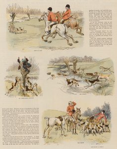 Czerwone śledzie przez Parcel Post (chromolitho)