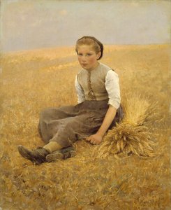 Mała klarownica, 1884