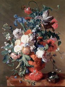 Martwa natura