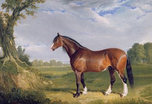 Ogier Clydesdale, 1820