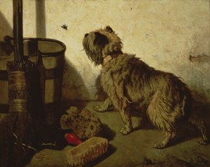 Pies i mucha, 1856
