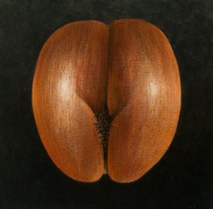 Coco de Mer, 2010 (akryl na płótnie)
