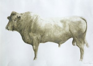 Islay Bull, 2004 (akryl na płótnie)