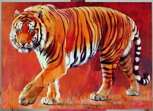 Tygrys bengalski