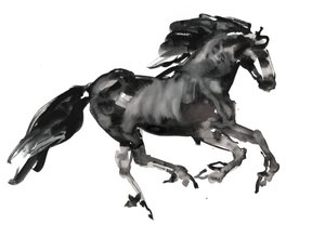 Galop, 2015, (tusz i akwarela na papierze)