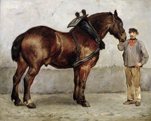 Koń roboczy, 1866